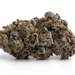 Buy Grand Daddy Purple Weed in Singapore